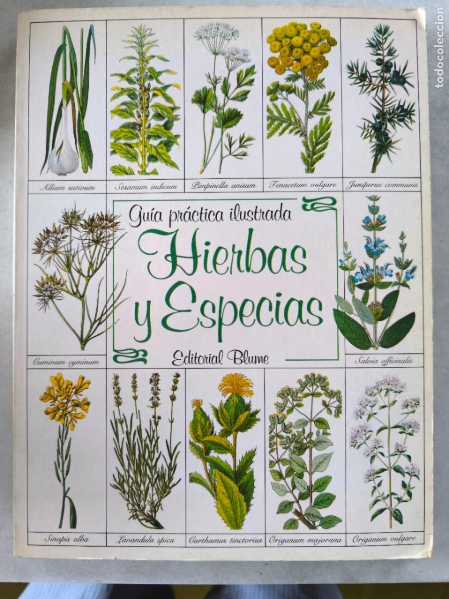Libros de segunda mano: HIERVAS Y ESPECIAS EDITORIAL BLUME
