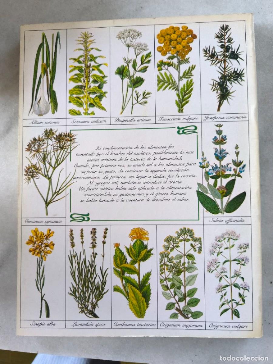 Libros de segunda mano: HIERVAS Y ESPECIAS EDITORIAL BLUME - Foto 3