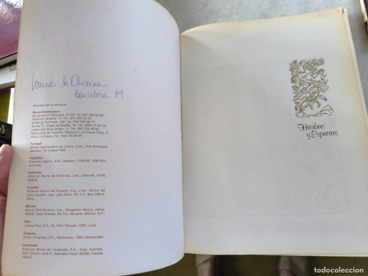 Libros de segunda mano: HIERVAS Y ESPECIAS EDITORIAL BLUME - Foto 4