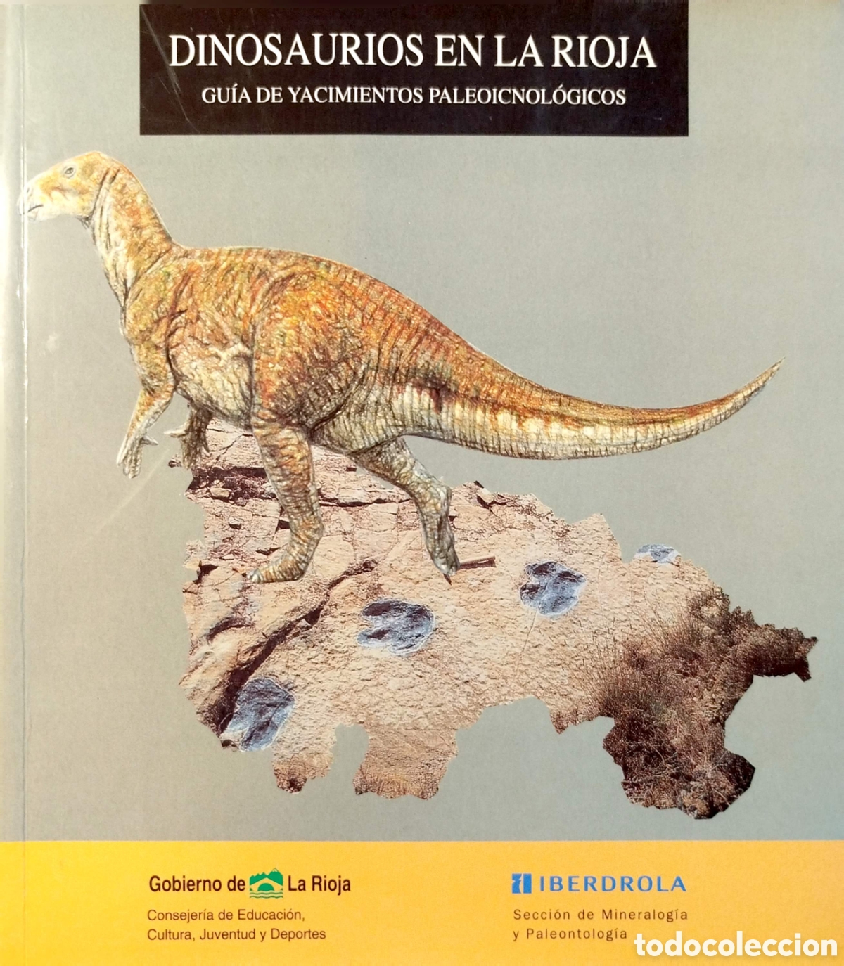 Libros de segunda mano: Dinosaurios en La Rioja.Gu&iacute;a de yacimientos paleoicnol&oacute;gicos.Gobierno de La Rioja.1997.