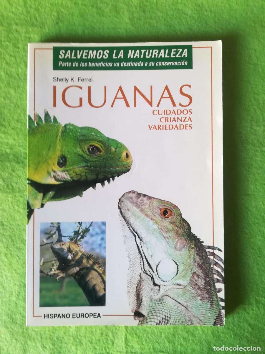 Libros de segunda mano: Iguanas cuidados crianza variedades Shelly Ferrel hispano europea 1994