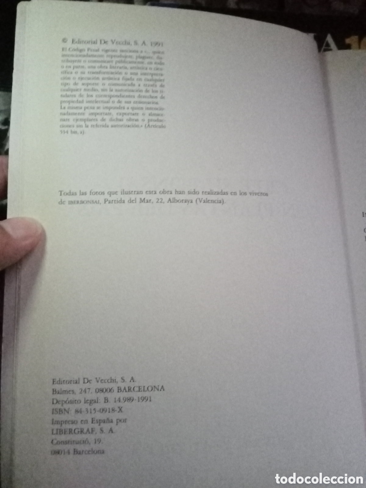 Libros de segunda mano: Cree su bonsai con plantas del pa&iacute;s - Foto 4