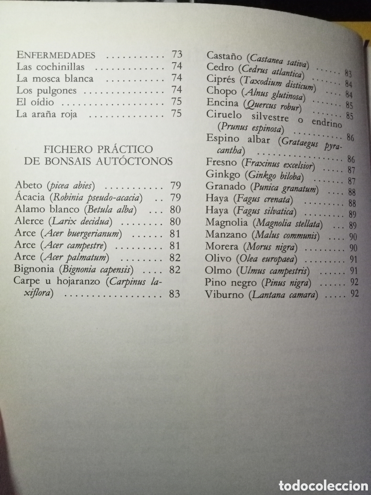 Libros de segunda mano: Cree su bonsai con plantas del pa&iacute;s - Foto 6