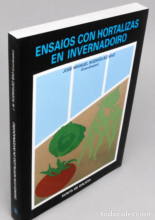 Libros de segunda mano: �F49 - ENSAIOS CON HORTALIZAS EN INVERNADOIRO. HUERTO. CULTIVO. INVERNADEROS. XUNTA DE GALICIA.