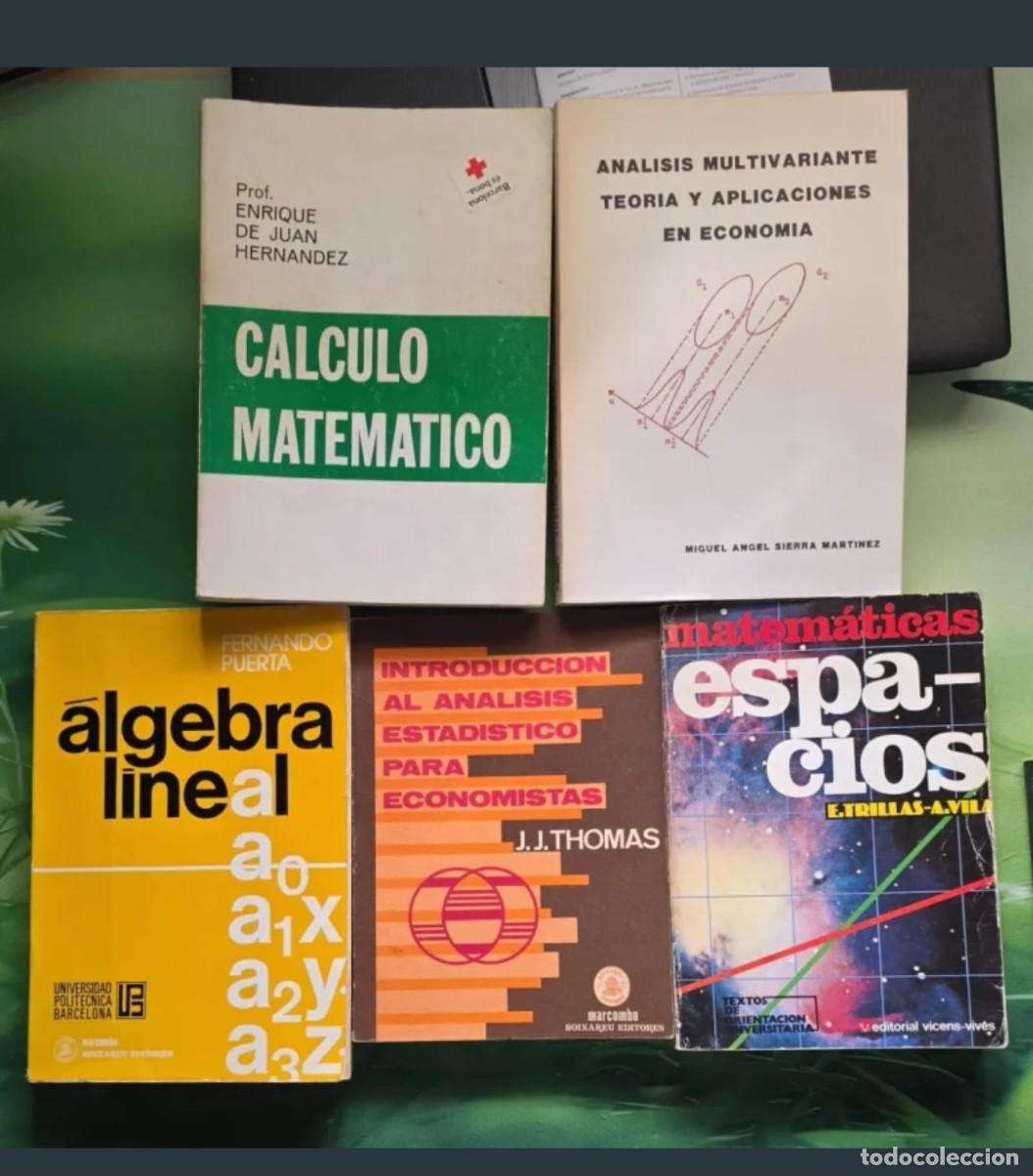 Libros de segunda mano de ciencias: MATEM&Aacute;TICAS PARA ECONOMISTAS