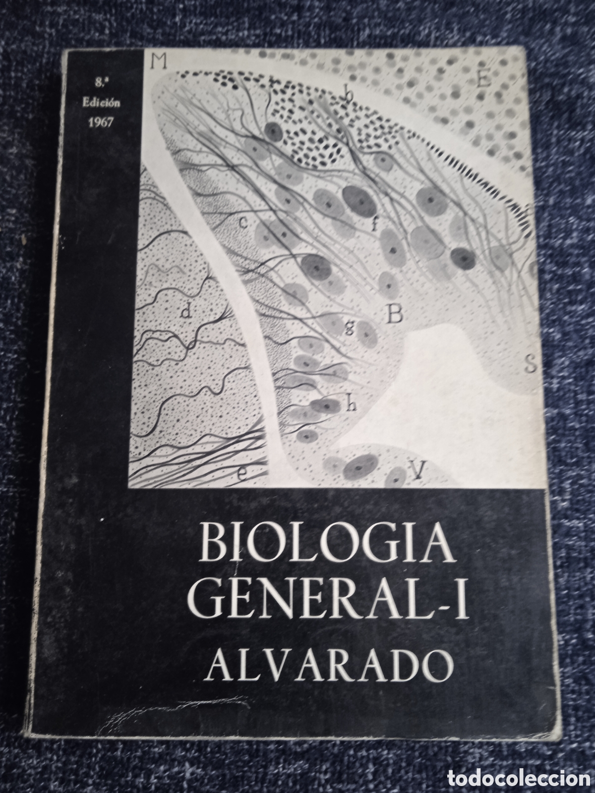 Libros de segunda mano: Biolog&iacute;a general volumen I / Alvarado 1967