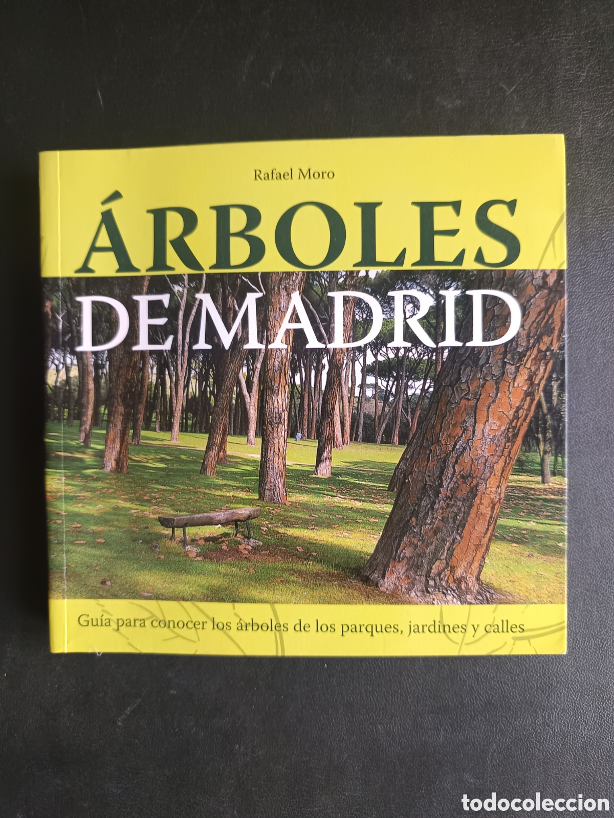 Libros de segunda mano: &Aacute;rboles de Madrid (CALLEJEROS Y GUIAS) de Rafael Moro