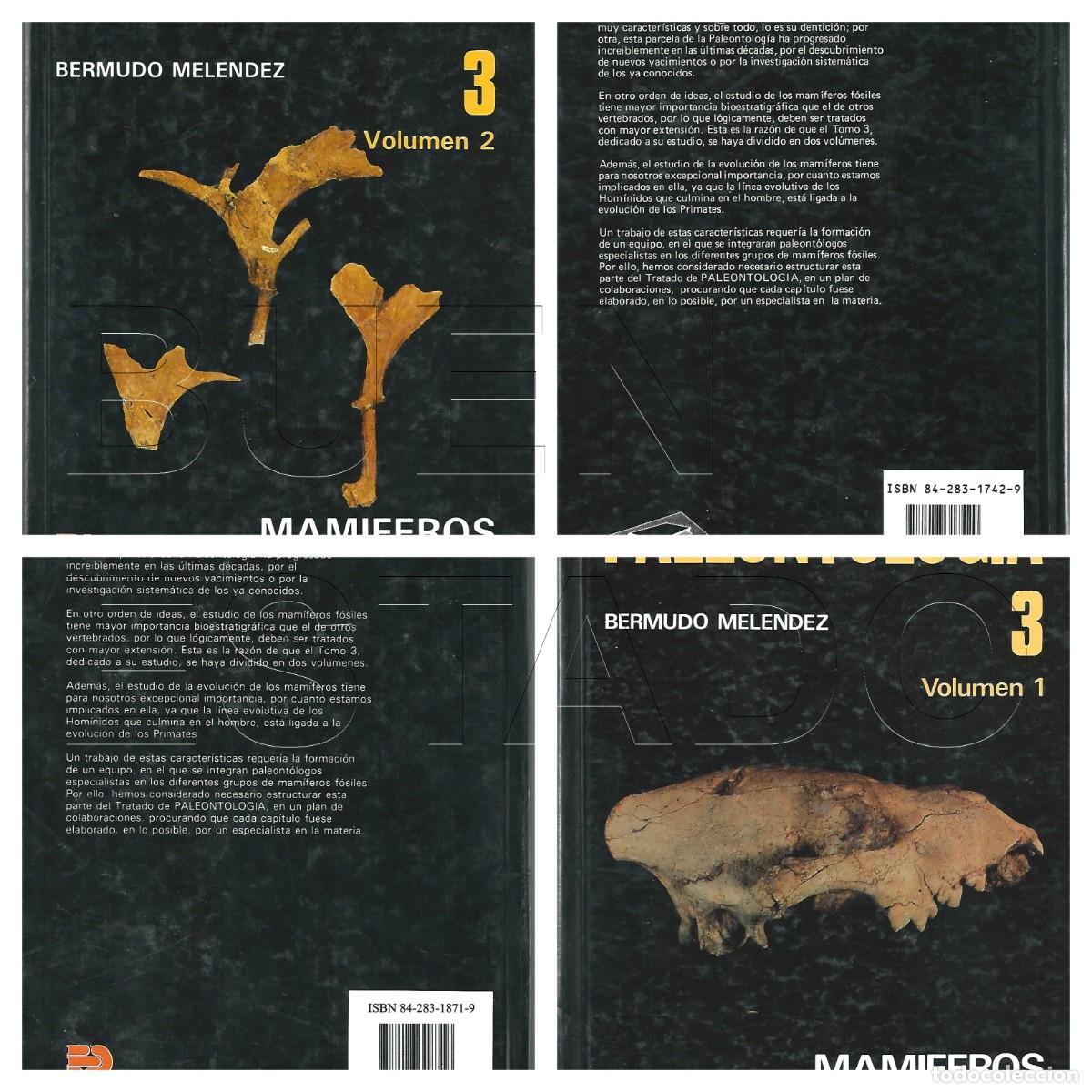 Libros de segunda mano: PALEONTOLOGIA 3 MAMIFEROS 1 Y 2 BERMUDO MELENDEZ U33