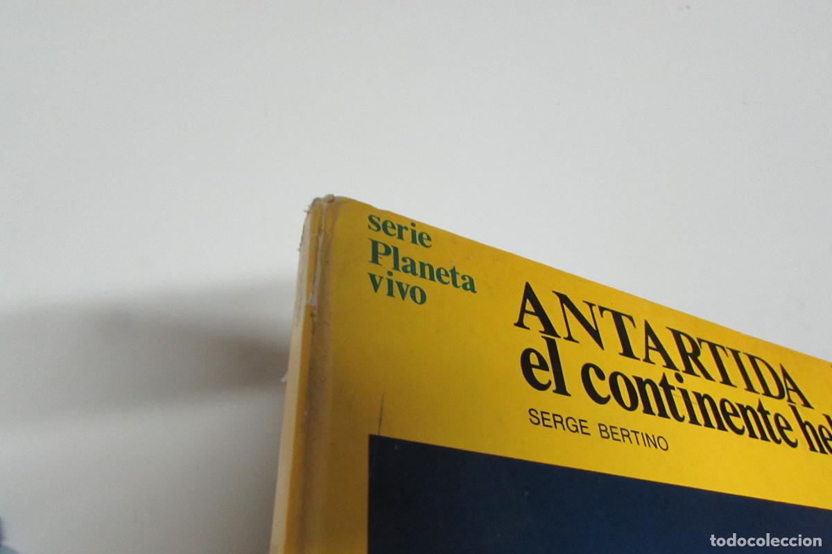 Libros de segunda mano: Serge Bertino - Antartida el continente helado - Foto 2