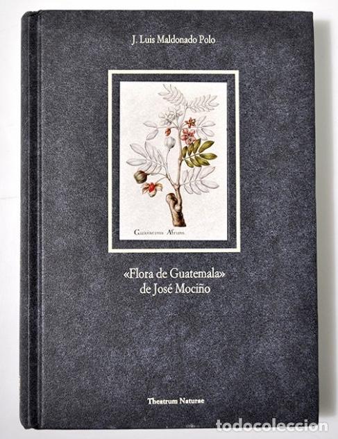 Second hand books: FLORA DE GUATEMALA de JOS&Eacute; MOCI&Ntilde;O &middot; THEATRUM NATURAE &middot; CSIC (1995) &middot; ISBN: 978-84-87111-79-2 #S0266