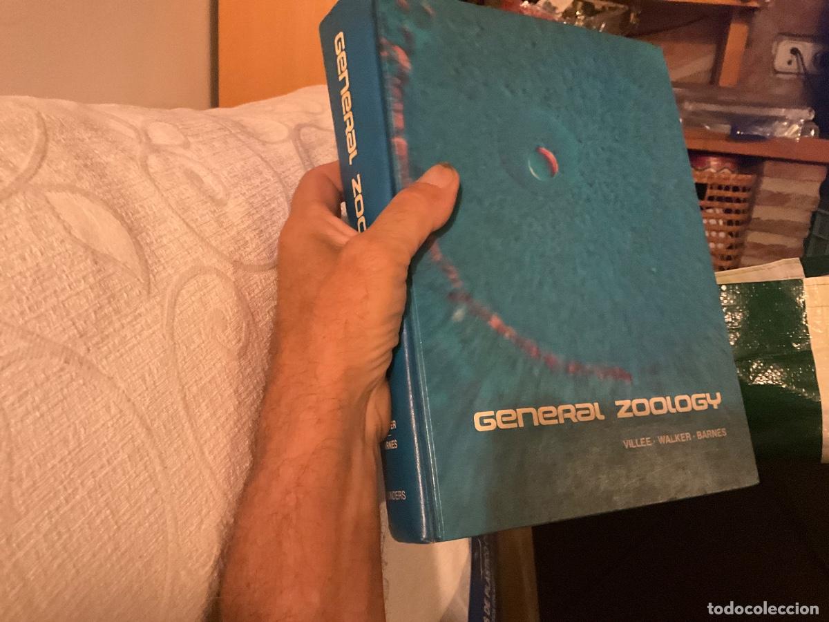 Libros de segunda mano: General Zoology Villee, Claude Alvin
