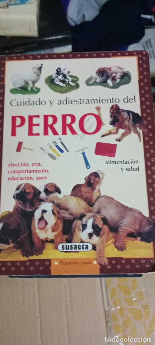 Libros de segunda mano: CUIDADO Y ADIESTRAMIENTO DEL PERRO SUSAETA LIBRO M-COL