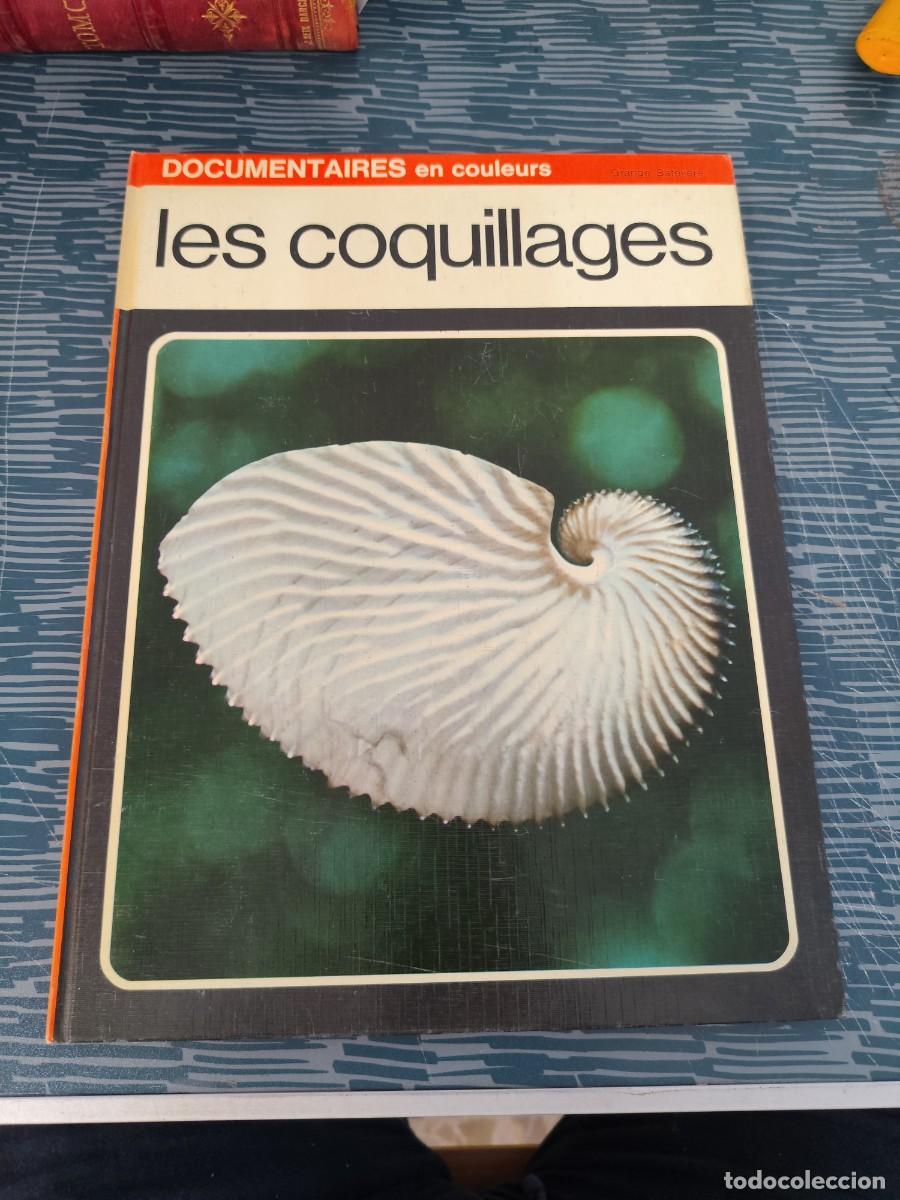 Libros de segunda mano: LES COQUILLAGES,SERGIO ANGELETTI,1969,VER FOTOS