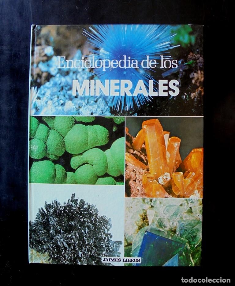 Libros de segunda mano: Enciclopedia de los minerales 1979 Jaime Libros impecable. Pierre Bariand