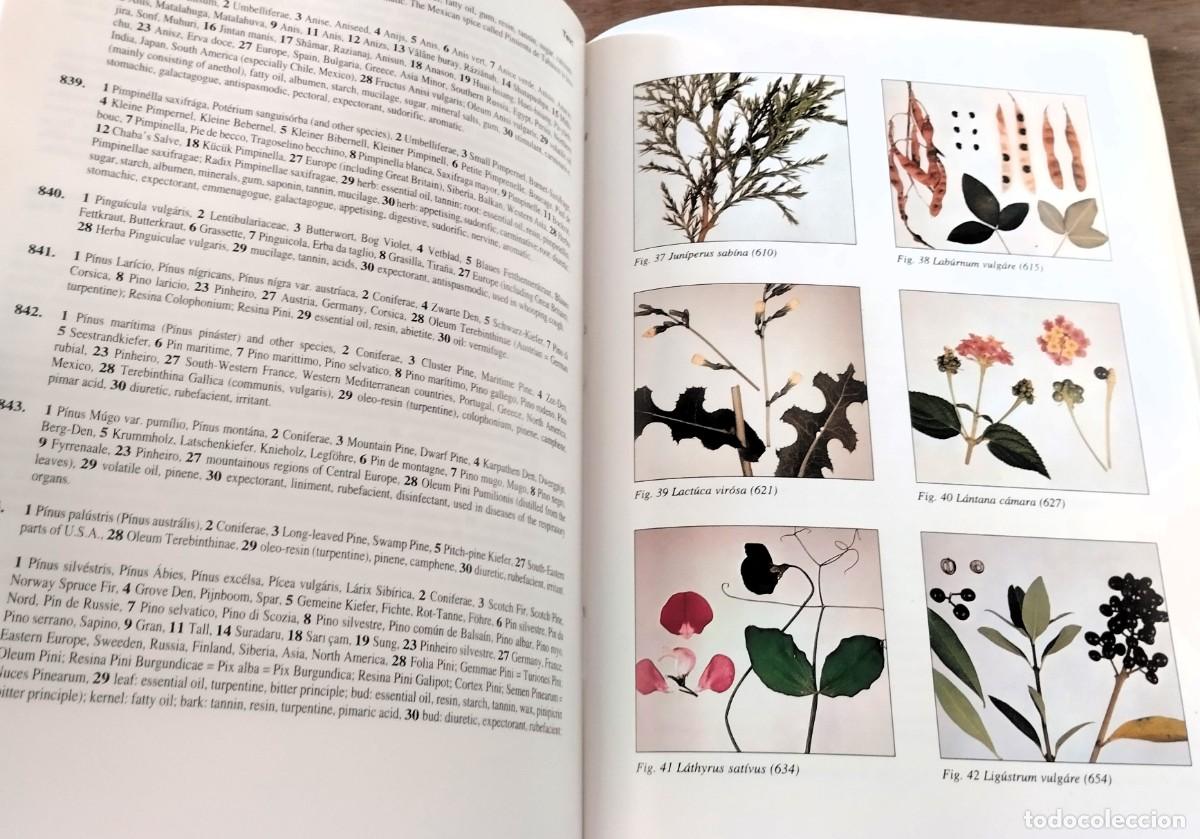 Libros de segunda mano: E. F. Steimetz,Codex Vegetabilis, Nicorette, Barcelona, 1997 - Foto 6