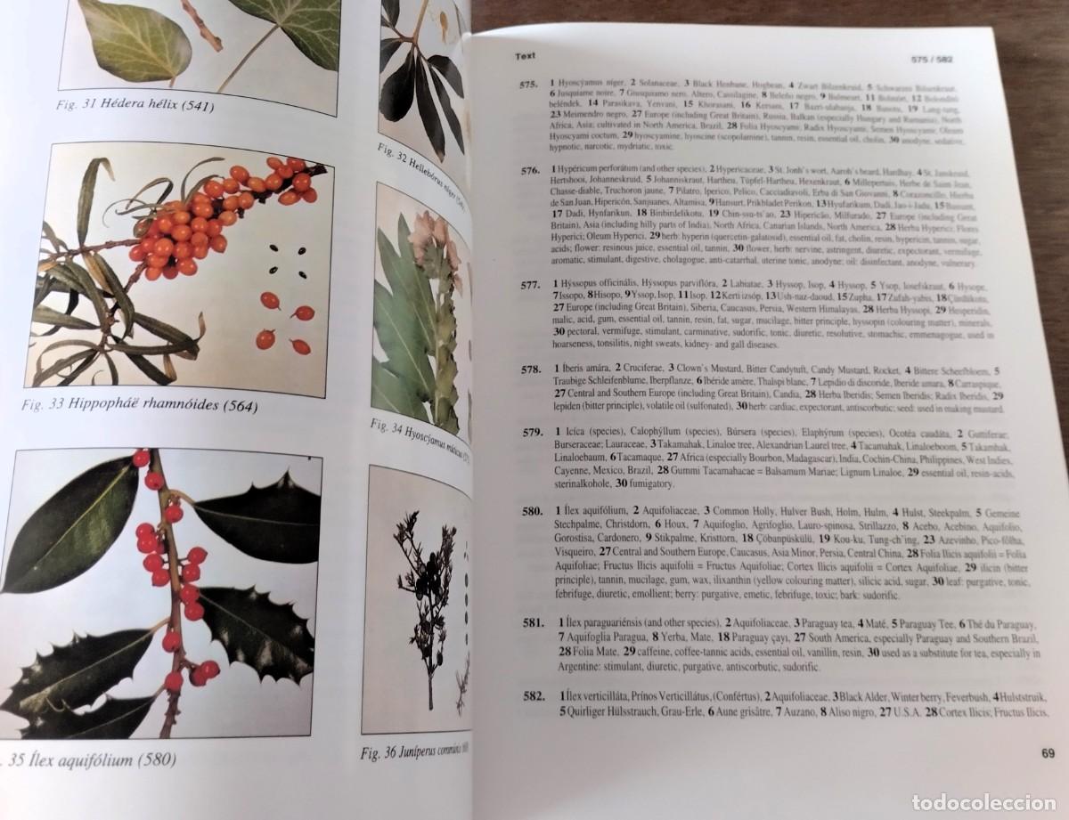 Libros de segunda mano: E. F. Steimetz,Codex Vegetabilis, Nicorette, Barcelona, 1997 - Foto 7