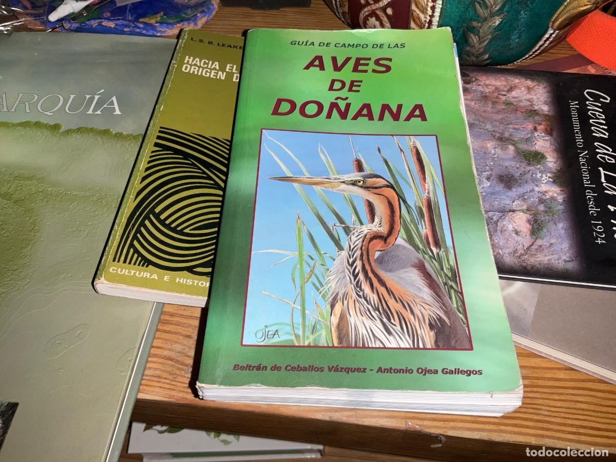 Libros de segunda mano: Gu&iacute;a de campo de las aves de Do&ntilde;ana. Beltr&aacute;n de Ceballos. Antonio ojea ilustraciones