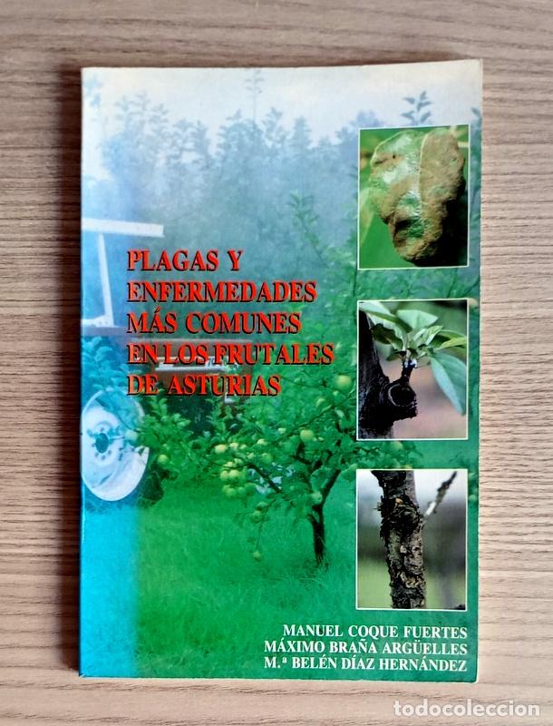 Libros de segunda mano: PLAGAS Y ENFERMEDADES MAS COMUNES EN LOS FRUTALES DE ASTURIAS - MANUEL COQUE FUERTES