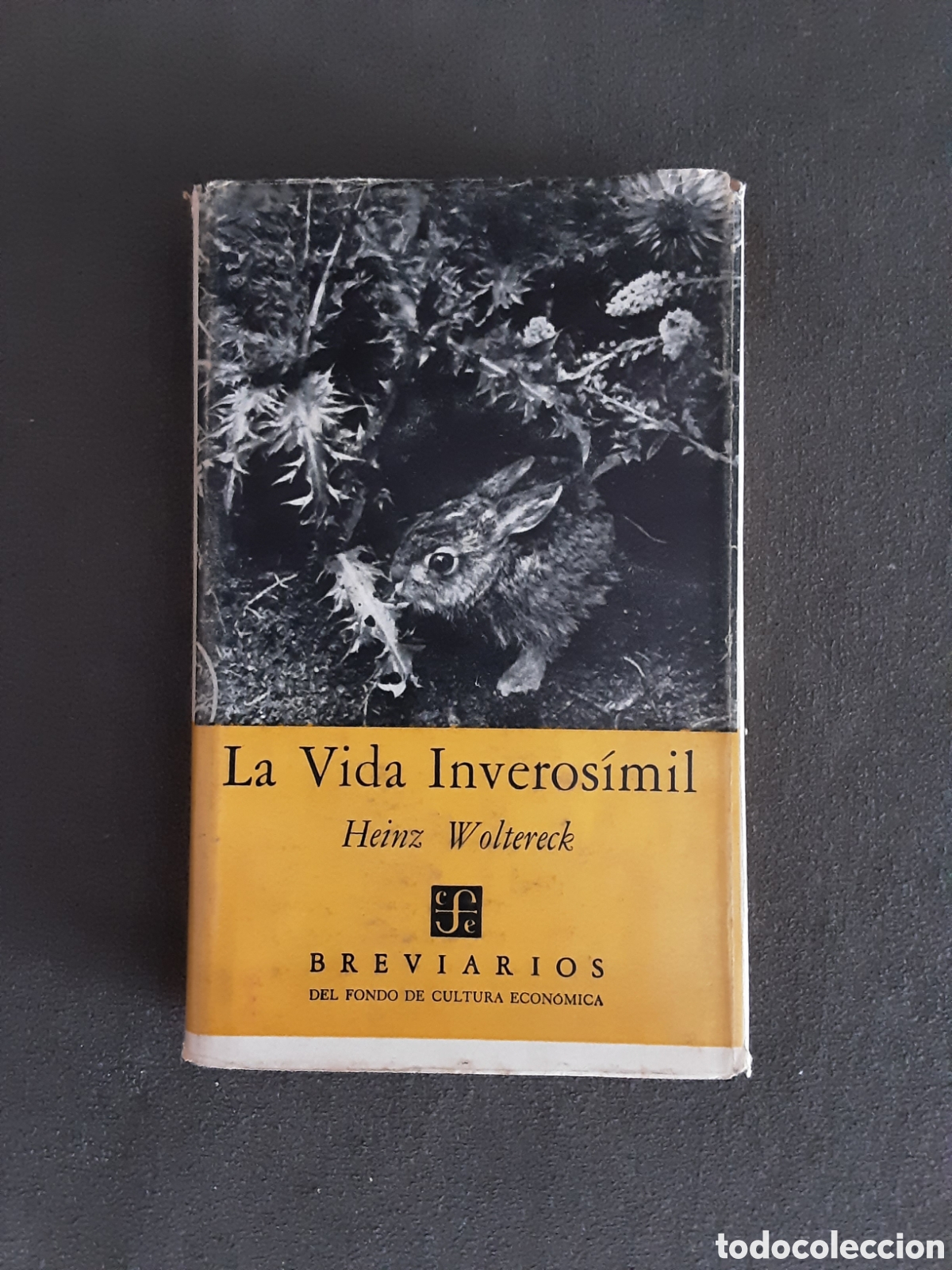 Libros de segunda mano: LA VIDA INVEROSIMIL POR HEINZ WOLTETECK 1952 BREVIARIOS FONDO DE CULTURA ECONOMICA