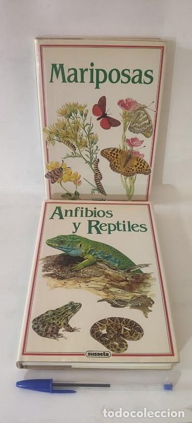 Libros de segunda mano: Mariposas - Anfibios y Reptiles - Susaeta 1991 - Tapas duras con sobre cubiertas.