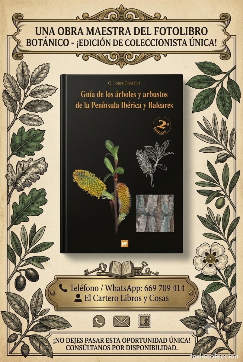 Libros de segunda mano: GU&Iacute;A DE LOS &Aacute;RBOLES Y ARBUSTOS DE LA PEN&Iacute;NSULA IB&Eacute;RICA Y BALEARES, GIN&Eacute;S L&Oacute;PEZ