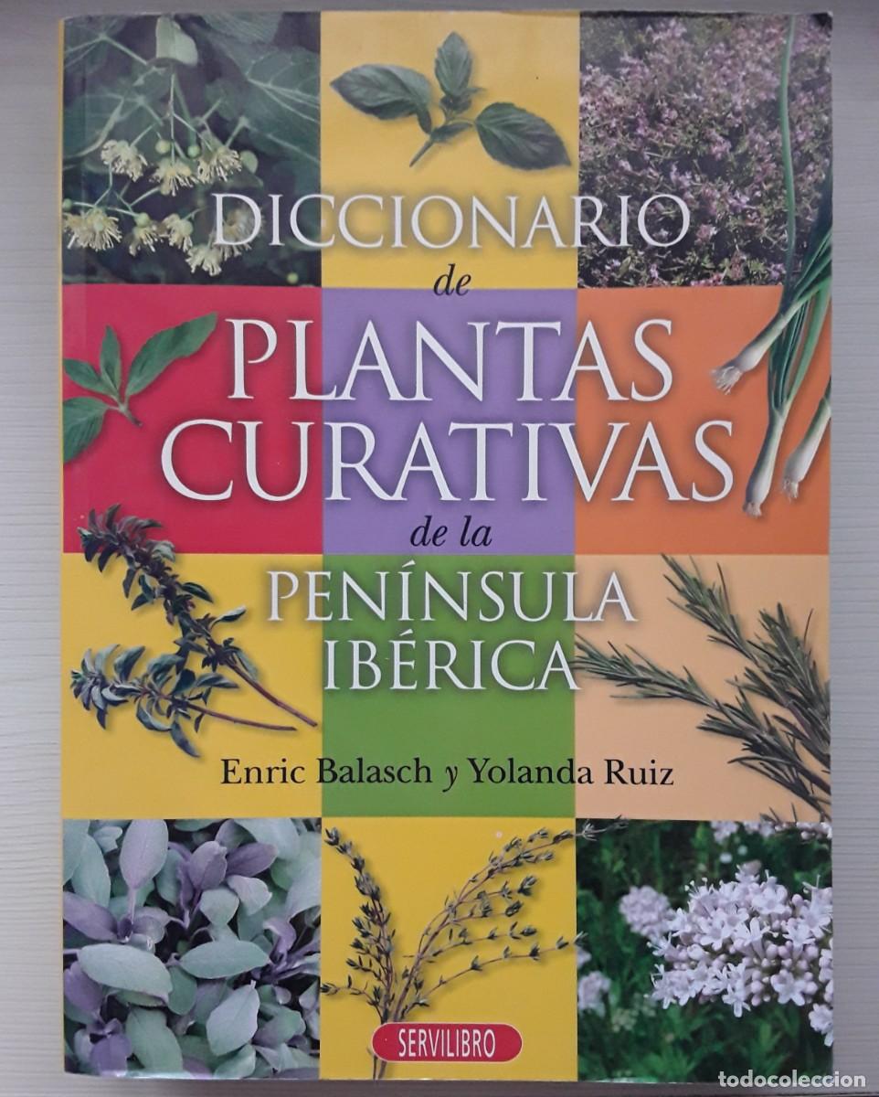 Libros de segunda mano: DICCIONARIO DE PLANTAS CURATIVAS DE LA PEN&Iacute;NSULA IB&Eacute;RICA. ENRIC BALASCH Y YOLANDA RUIZ.