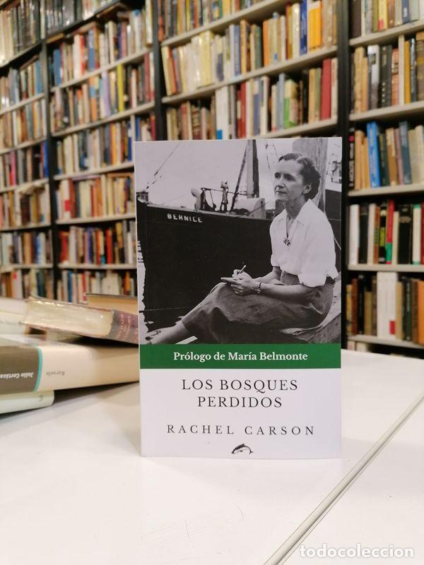 Libros de segunda mano: Los bosques perdidos. - Carson Rachel.