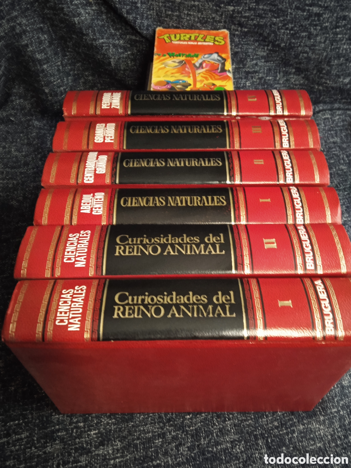 Libros de segunda mano: ENCICLOPEDIA CIENCIAS NATURALES -CURIOSIDADES DEL REINO ANIMAL 6 TOMOS -ED. BRUGUERA