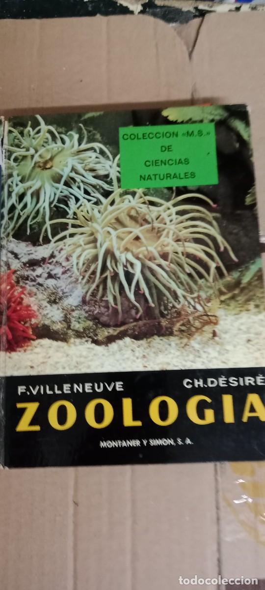 Libros de segunda mano: ZOOLOG&Iacute;A. VILLENEUVE / D&Eacute;SIR&Eacute; - COLECCI&Oacute;N MS DE CIENCIAS NATURALES - ED. MONTANER Y SIM LIBRO TOP-14