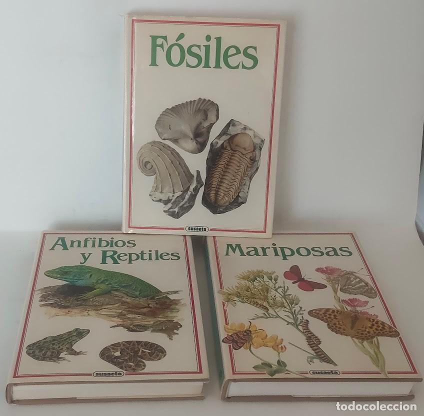 Second hand books: 3 libros Susaeta: F&oacute;siles - Mariposas - Anfibios y Reptiles - Susaeta 1991/92