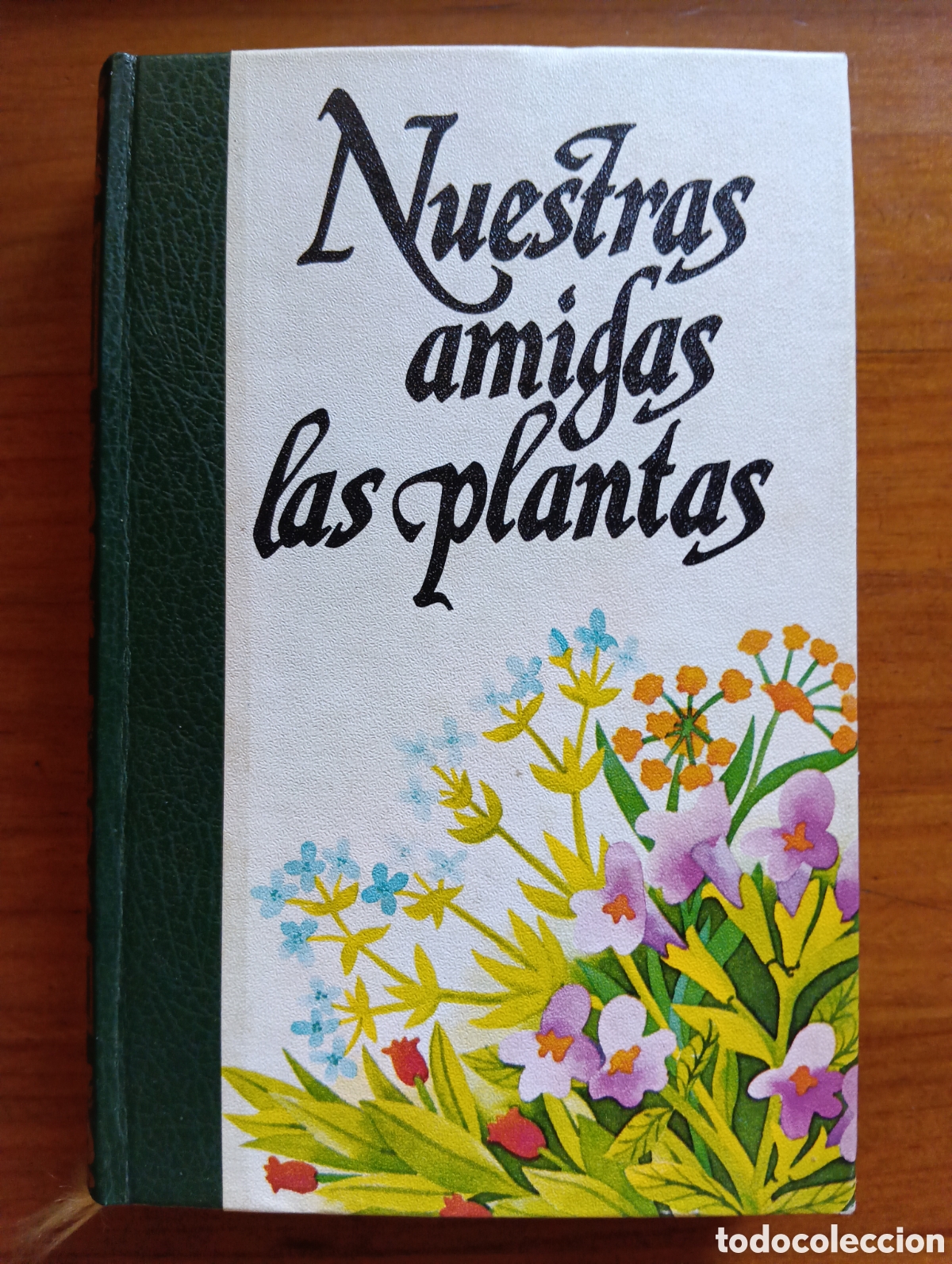 Libros de segunda mano: Nuestras amigas las plantas, Tomo I, La salud a trav&eacute;s de las plantas, Daniele Manta