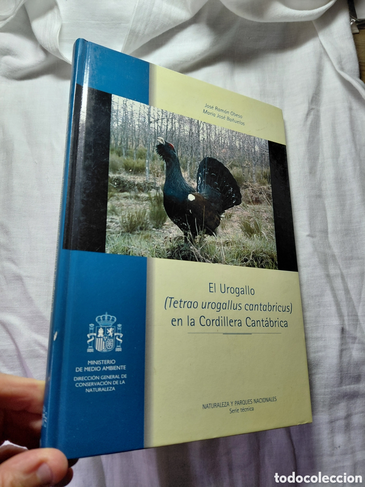 Libros de segunda mano: EL UROGALLO(TETRAO UROGALLUS CANTABRICUS)EN LA CORDILLERA CANTABRICA.JOSE RAMON OBESO.M&ordf; JOSE BA&Ntilde;UEL