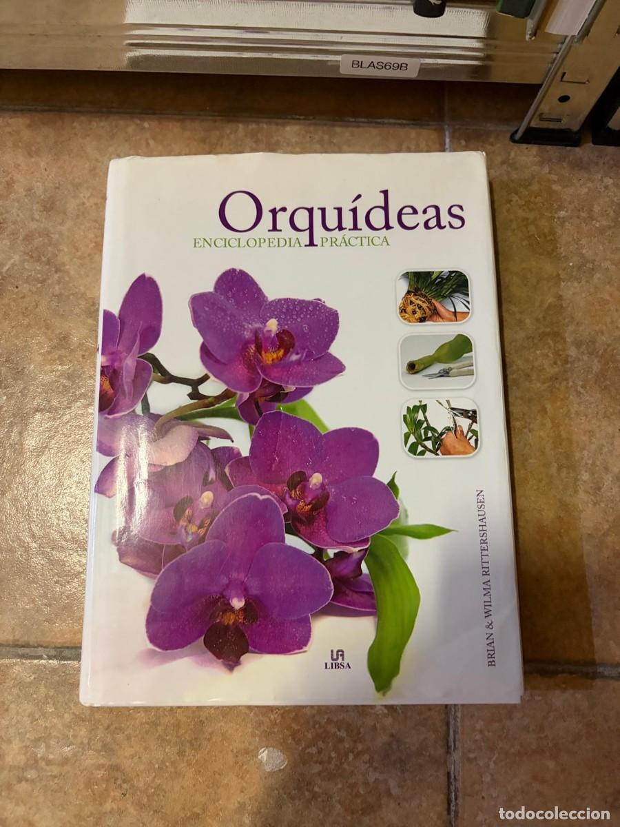 Libros de segunda mano: BLAS69B Orqu&iacute;deas. Enciclopedia pr&aacute;ctica &ndash; Brian & Wilma Rittershausen &ndash; Libsa.