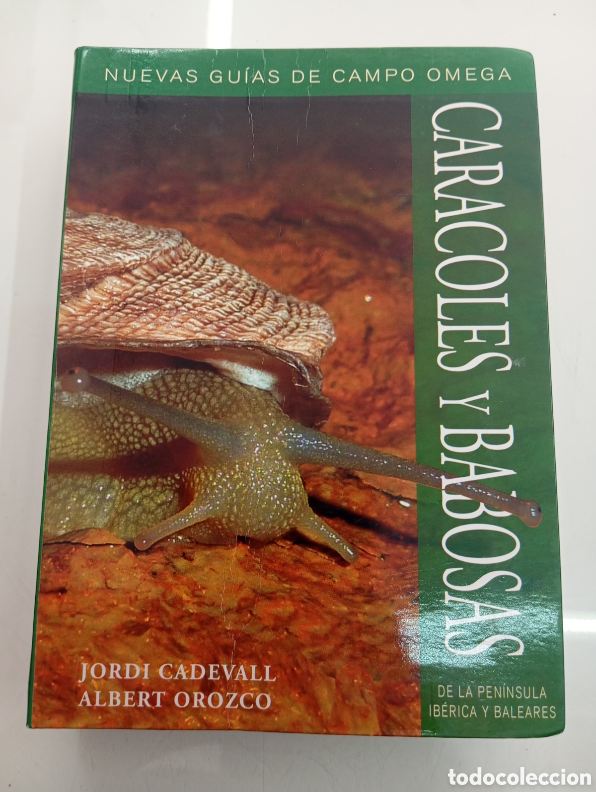 Libros de segunda mano: CARACOLES Y BABOSAS DE LA PEN&Iacute;NSULA IB&Eacute;RICA Y BALEARES JORDI CADEVALL GUIAS CAMPO OMEGA