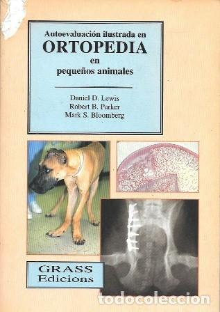 Libros de segunda mano: AUTOEVALUACION ILUSTRADA EN ORTOPEDIA EN PEQUE&Ntilde;OS ANIMALES - A-VETER-162