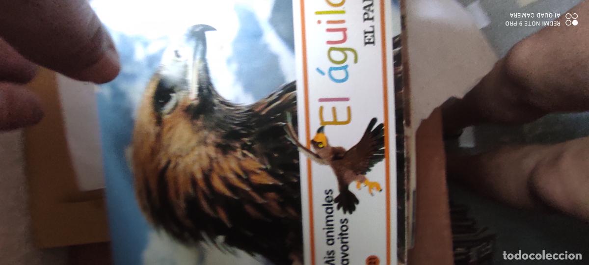 Libros de segunda mano: El &aacute;guila. Mis animales favoritos