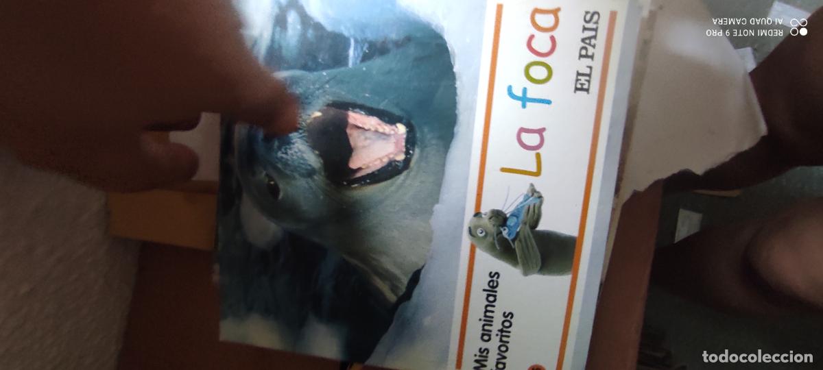 Libros de segunda mano: La foca. Mis animales favoritos