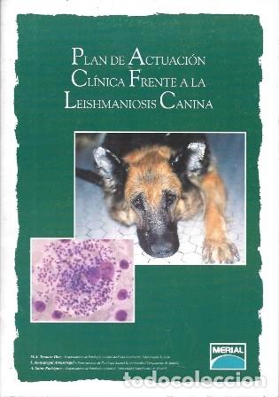 Libros de segunda mano: PLAN DE ACTUACION CLINICA FRENTE A LA LESHMANIOSIS CANINA - A-VETER-165