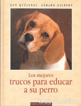 Libros de segunda mano: LOS MEJORES TRUCOS PARA EDUCAR A SU PERRO - QUEINNEC, GUY/GILBERT, GERARD - A-VETER-171
