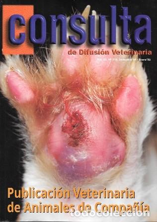 Libros de segunda mano: REVISTA CONSULTA DE DIFUSION VETERINARIA VOL. 32 N&ordm; 316 DICIEMBRE '24 - ENERO '25 - A-VETER-174