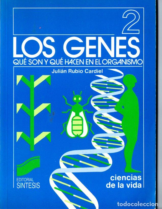 Libros de segunda mano: JULI&Aacute;N RUBIO CARDIEL : LOS GENES (SINTESIS, 1989)