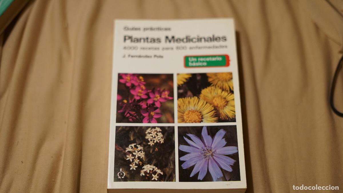 Libros de segunda mano: Fernandez Pola - Guia pr&aacute;ctica de plantas medicinales