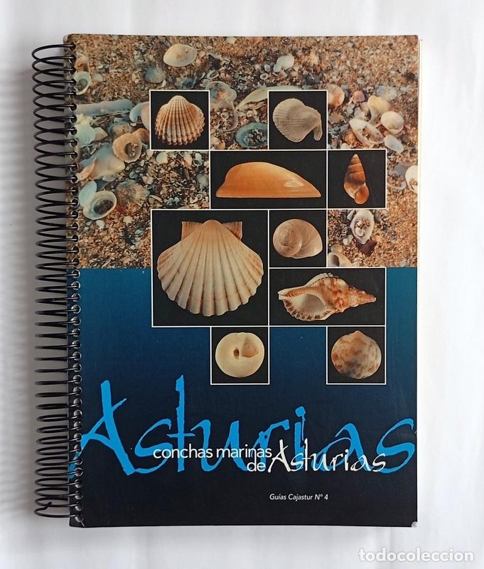 Libros de segunda mano: CONCHAS MARINAS DE ASTURIAS - FRANCISCO MEXIA UNZURRUNZAGA