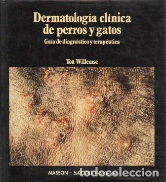 Libros de segunda mano: DERMATOLOGIA CLINICA DE PERROS Y GATOS - GUIA DE DIAGNOSTICO Y TERAPEUTICA - A-VETER-184