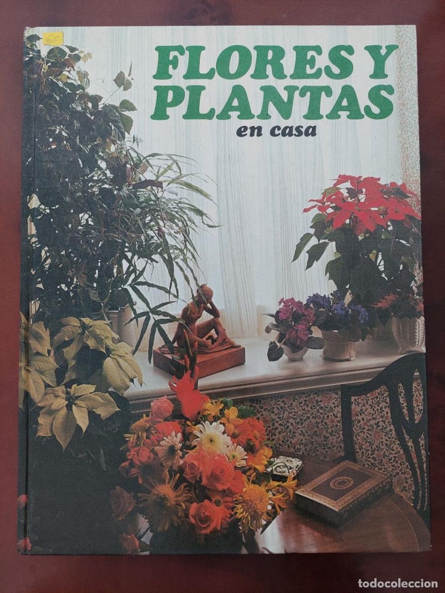 Libros de segunda mano: FLORES Y PLANTAS EN CASA - Violet Stevenson. Editorial hmb. 1978