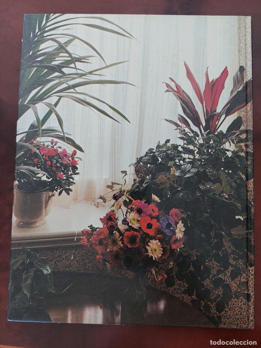 Libros de segunda mano: Gran Libro de PLANTAS Y FLORES. Mas-ivars Editores. Valencia, 1980