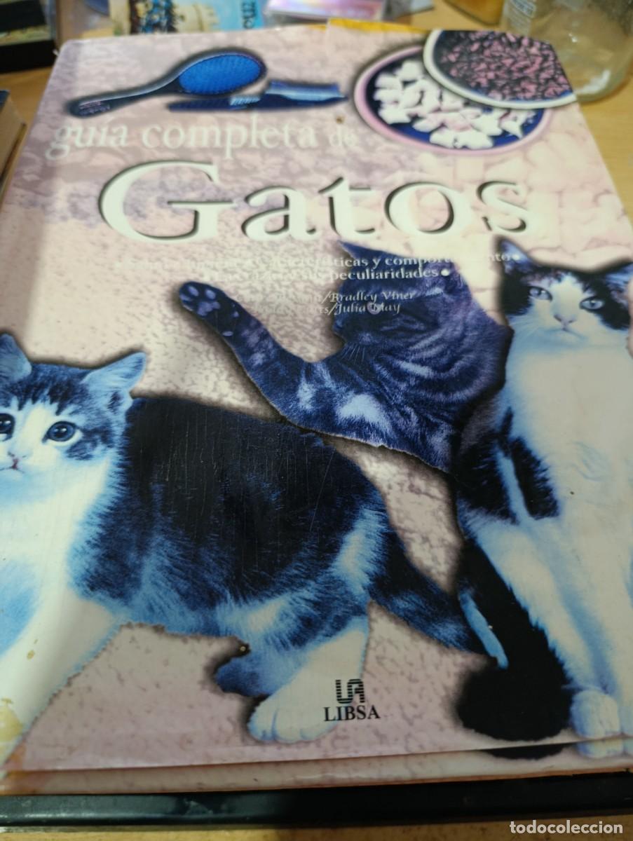 Libros de segunda mano: GUIA COMPLETA DE GATOS. EST32B3