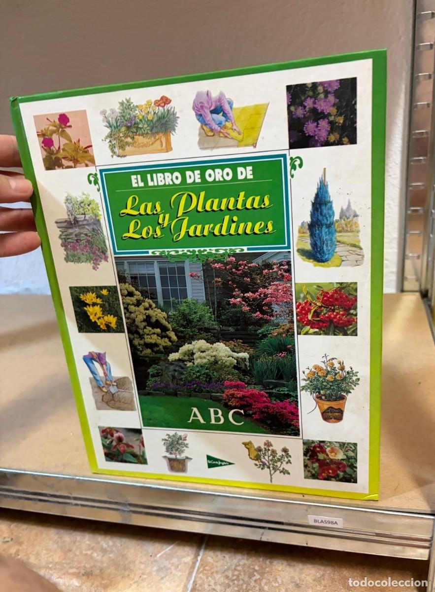 Libros de segunda mano: BLAS98A El libro de oro de las plantas y los jardines, ABC