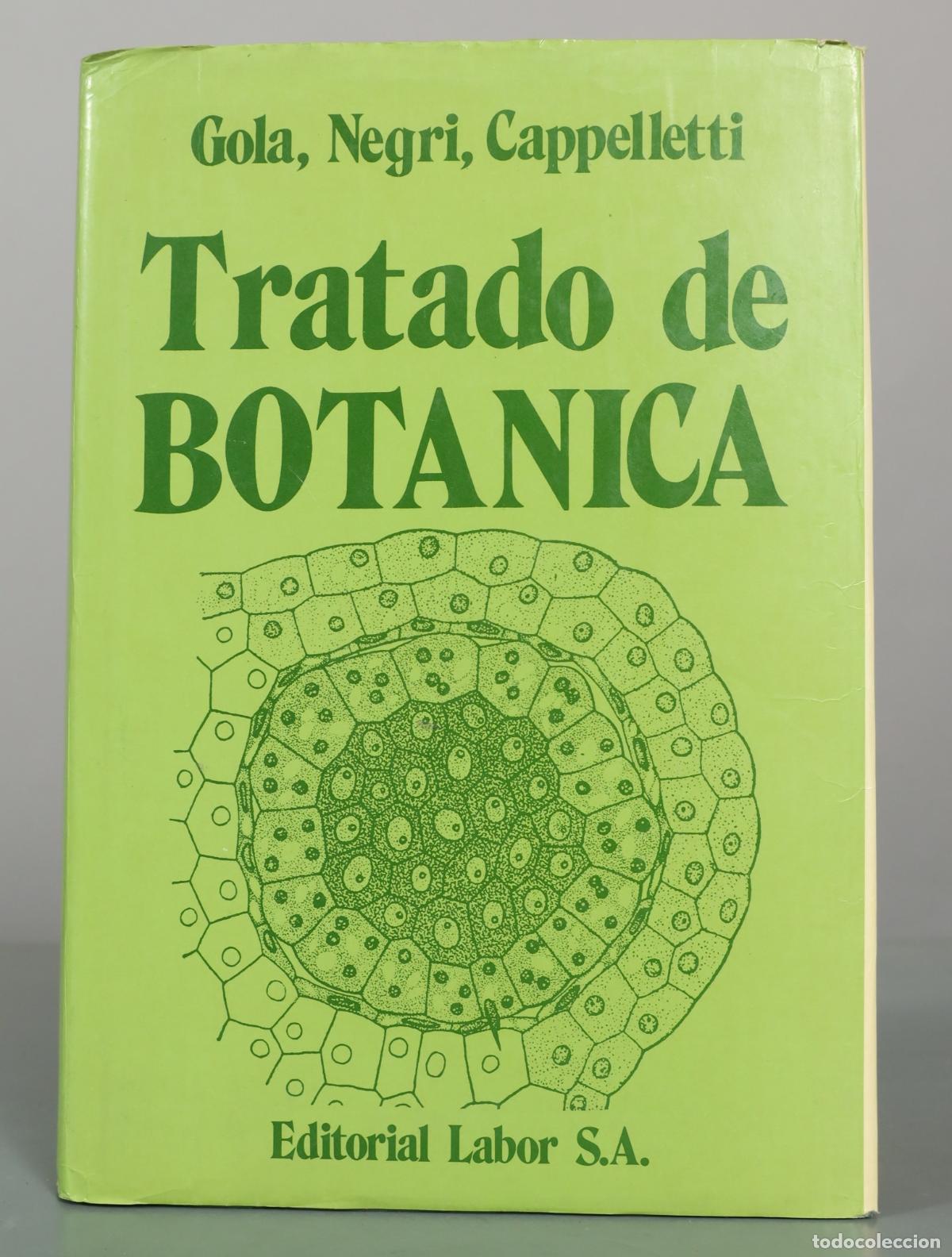 Libros de segunda mano: Tratado de bot&aacute;nica - Gola, Negri, Cappelletti - Editorial Labor