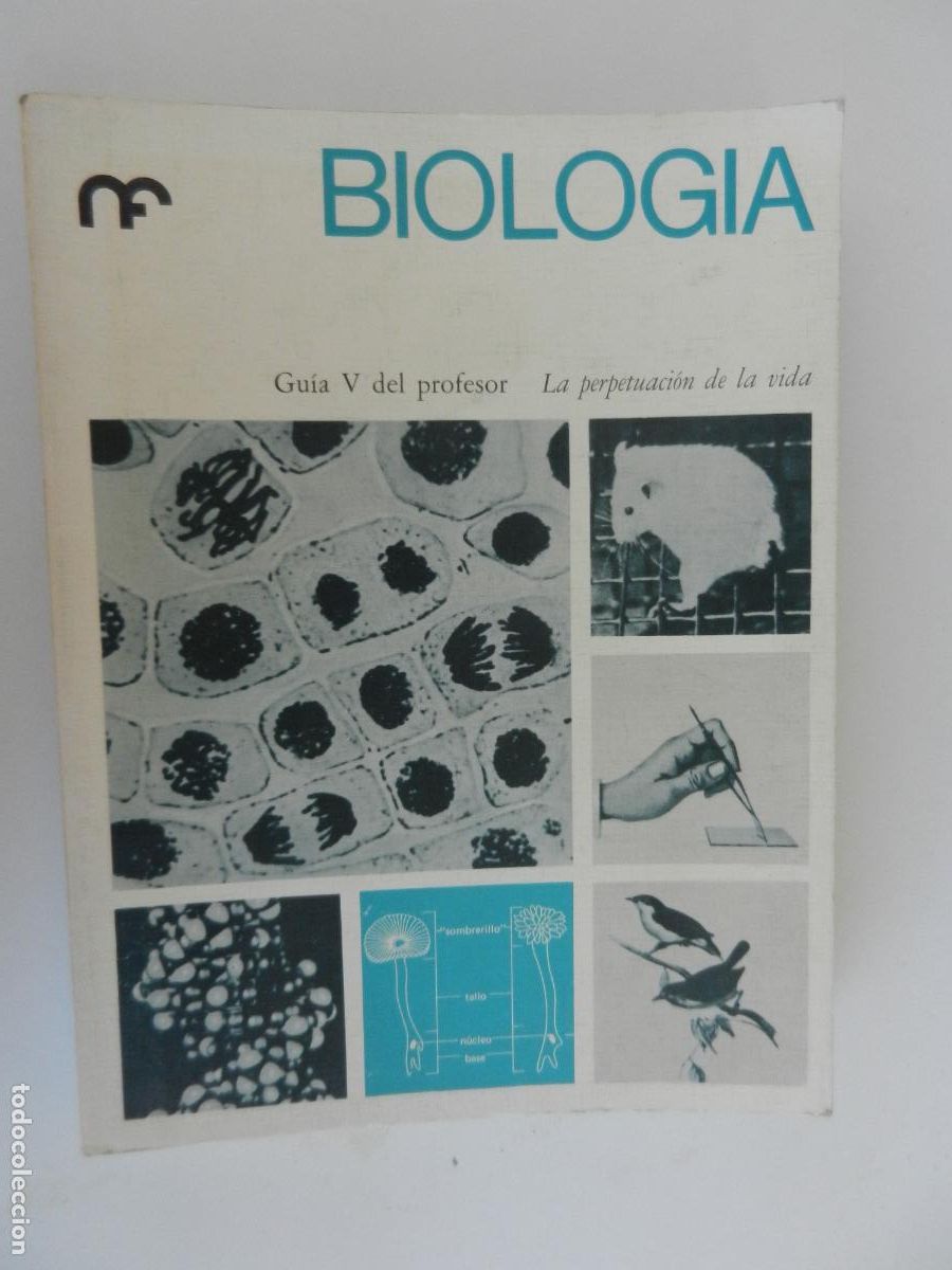 Libros de segunda mano: BIOLOGIA - GUIA V DEL PROFESOR - LA PERPETUACION DE LA VIDA- EDC OMEGA 1972